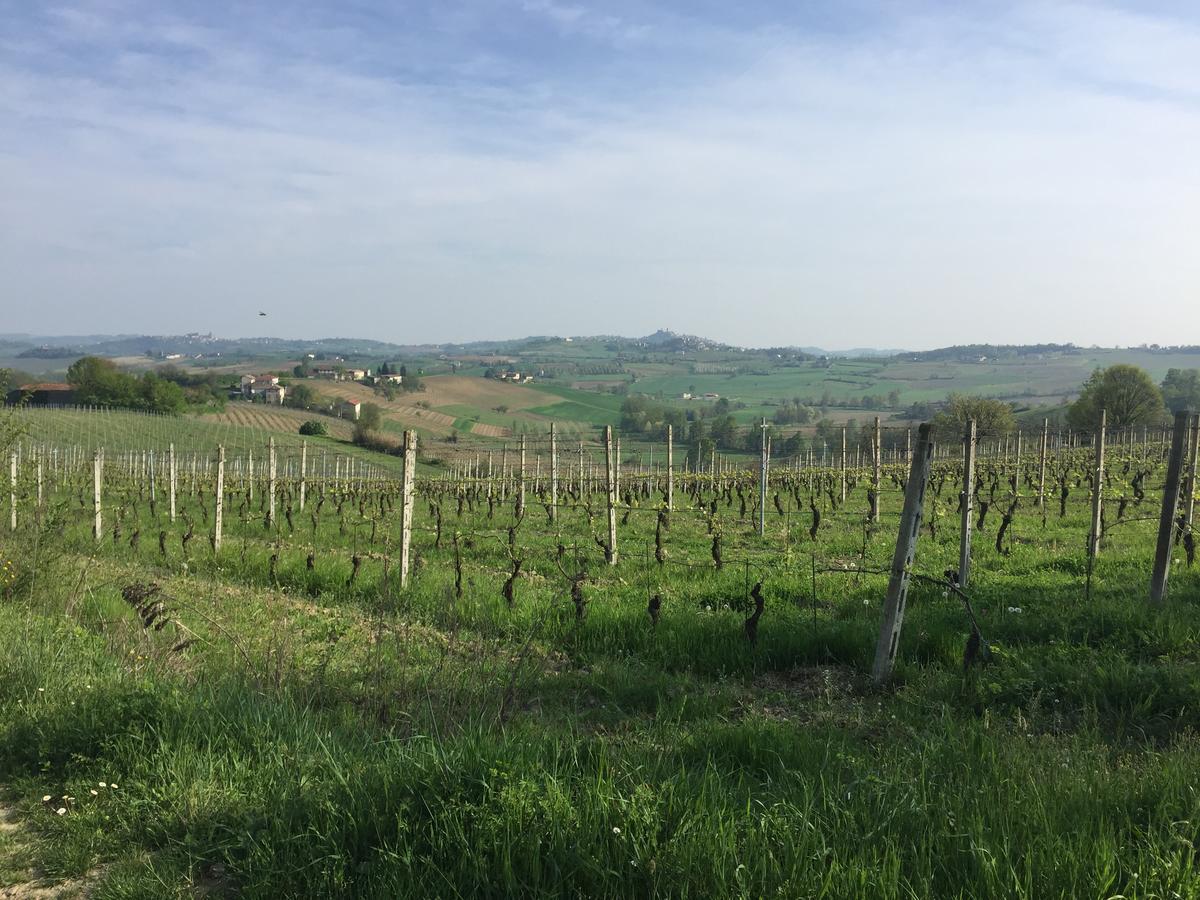 B&B Carletto Cella Monte Luaran gambar