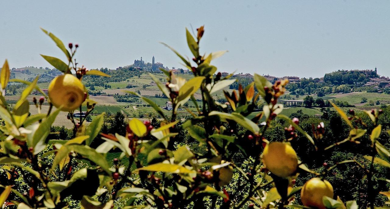 B&B Carletto Cella Monte Luaran gambar